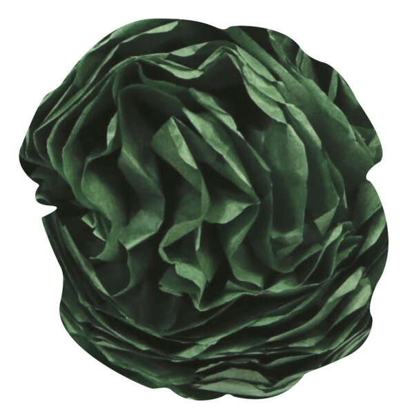 Clairefontaine Papier de soie, (l)500 x (H)750 mm, noir