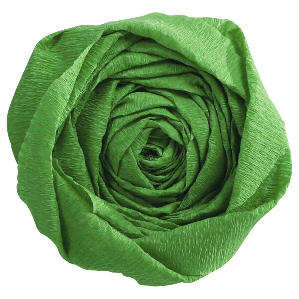 Clairefontaine Papier crépon, vert bouteille