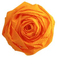 Clairefontaine Papier crépon, vert bouteille