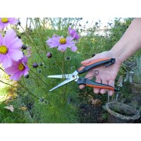 Garten PRIMUS Stauden- & Kräuterschere,...