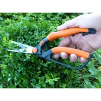 Garten PRIMUS Cisaille à buis, petit, longueur : 260 mm