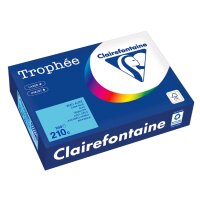 Clairefontaine Multifunktionspapier Trophée, A4, gelb