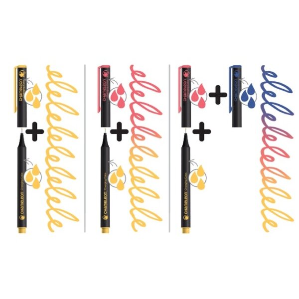 CHAMELEON Fineliner Set 0.3mm FL0603 6 Farben Floral