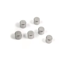 TRENDFORM Magnete BOLT CA2008 silber 6 Stück