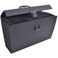 RAPESCO Fächertasche, DIN A4, 19 Fächer, pink