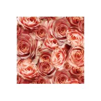 URSUS Skizzenpapier 30,5x30,5cm 70010004 Rosen rosa 5 Blatt