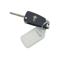 RIEFFEL SWITZERLAND Schlüsseletiketten 38x22mm...