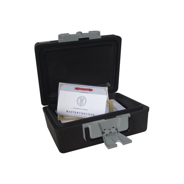 RIEFFEL SWITZERLAND Tresor SecurityCase6 A17731 feuerfest 389x300x165mm