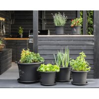 orthex Untersetzer BOTANICA, Durchmesser: 340 mm, schwarz