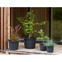 orthex Blumentopf EPOQUE, Durchmesser: 290 mm, schwarz