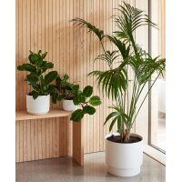 orthex Blumentopf PAULINA, Durchmesser: 400 mm, betongrau