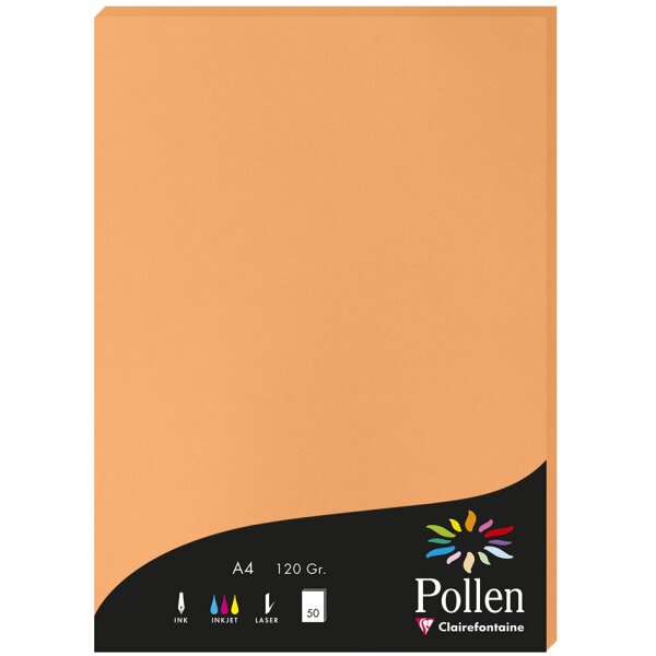 Pollen by Clairefontaine Papier DIN A4, perlmutt-elfenbein