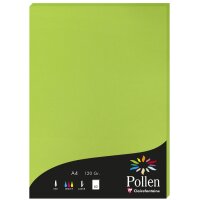 Pollen by Clairefontaine Papier DIN A4, perlmutt-elfenbein