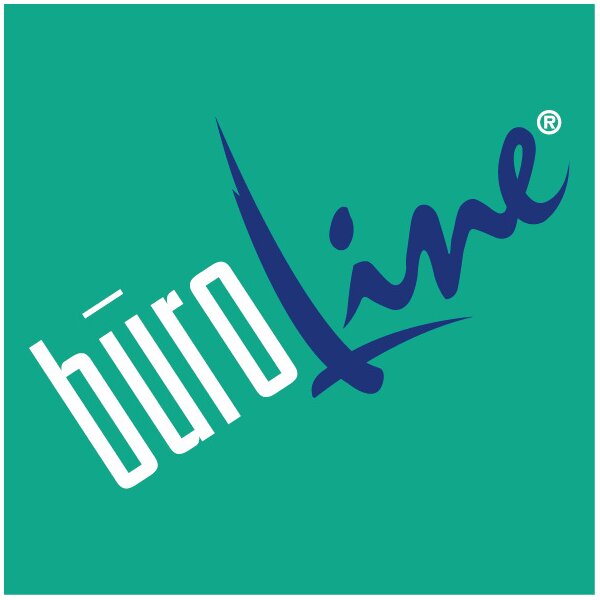 BÜROLINE Gummibandmappe A4 460696PE1U orange, Karton