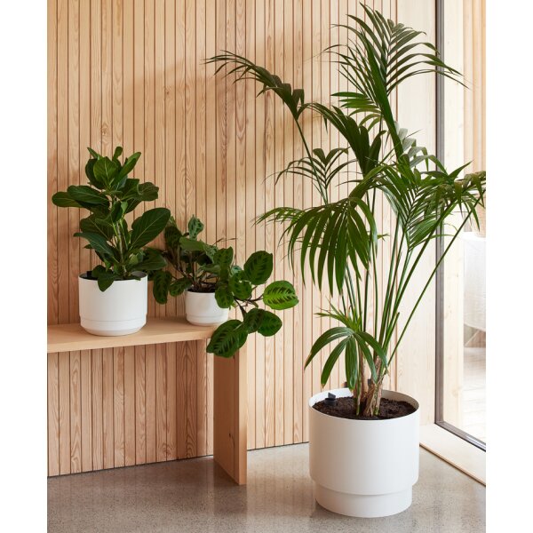 orthex Pot de fleurs PAULINA, diamètre : 140 mm, noir