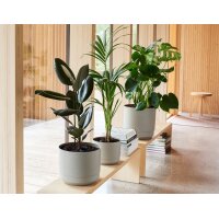 orthex Blumentopf PAULINA, Durchmesser: 140 mm, schwarz