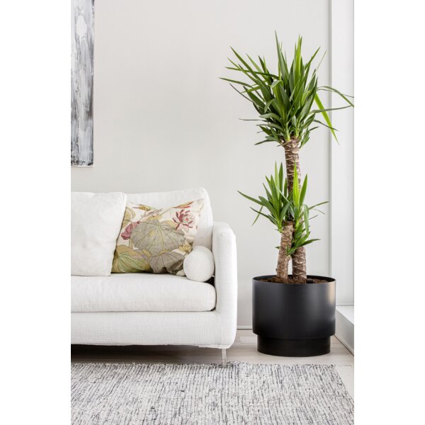 orthex Blumentopf PAULINA, Durchmesser: 250 mm, schwarz
