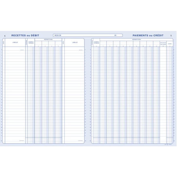 ELVE Piq&ucirc;re comptable Encaissements Paiements, 320 x 240 mm