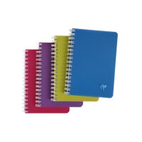 CLAIREFONTAINE LINICOLOR Heft 9x14cm 329525 5mm 50 Blatt