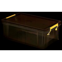 Fellowes Boîte de rangement ProStore, 10 litres, transparent
