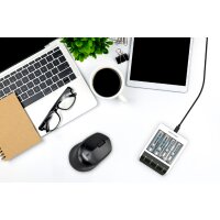 ANSMANN Schnell-Ladegerät Comfort Smart, weiss schwarz