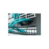 DIGITUS 19" Kabeldurchführungspanel, 1 HE, grau