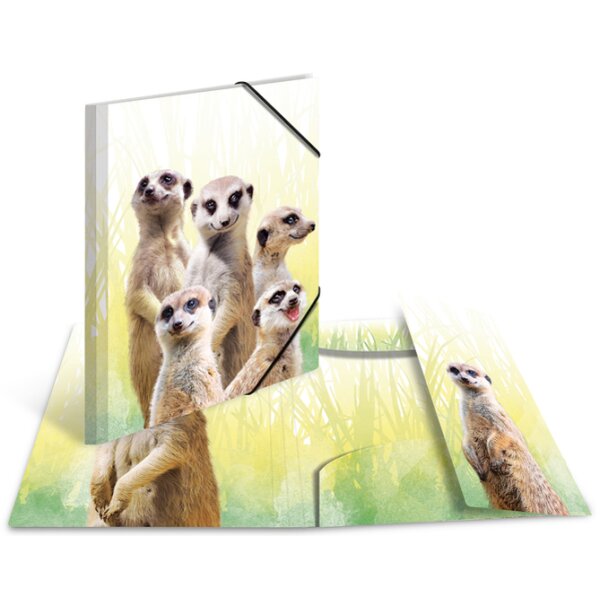 HERMA Eckspannermappe Exotische Tiere, A4, Tropendique