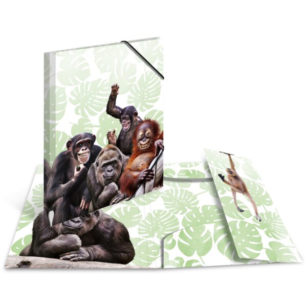 HERMA Chemise à élastiques Animaux exotiques, A3, singes