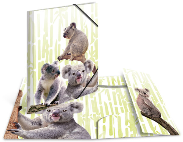 HERMA Chemise à élastiques Animaux exotiques, A4, koalas