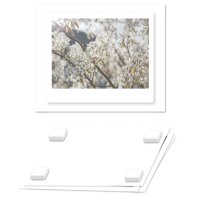 transotype X-Press It Montage-Schaumklebequadrate, 6 mm