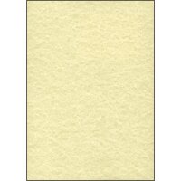 sigel Papier structuré, A4, 200 g/m2, Perga champagne