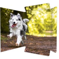 RNK Verlag Carton à dessin Free Horses, A3