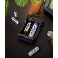 ANSMANN Ladegerät "Lithium 2", für...