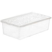 plast team Schuh-Box BASIC BOX, small