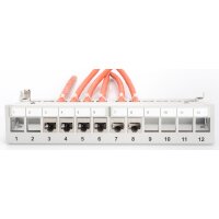 DIGITUS Panneau de brassage modulaire Desktop, 12 ports