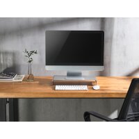 DIGITUS Monitorständer Monitorerhöhung, silber