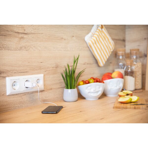 ANSMANN USB-Steckdosenadapter Home Charger HC218PD, 2x USB