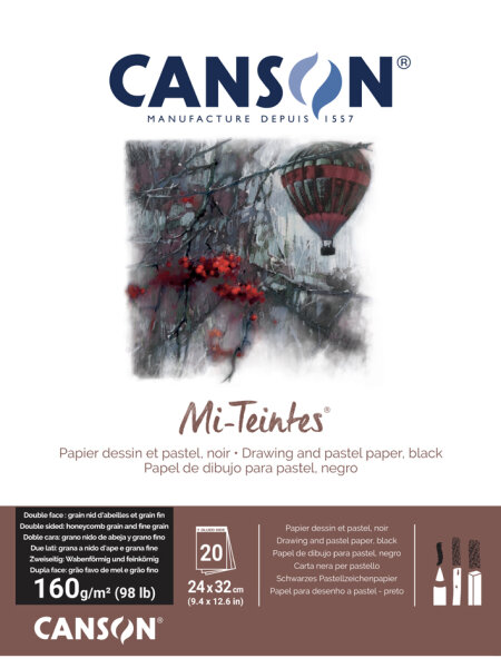 CANSON Papier beaux-arts Mi-Teintes, en album, 320 x 410 mm