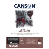 CANSON Papier beaux-arts Mi-Teintes, en bloc, 320 x 410 mm