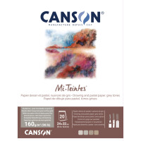 CANSON Papier beaux-arts Mi-Teintes, en bloc, 320 x 410 mm