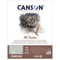 CANSON Papier beaux-arts Mi-Teintes, en bloc, 240 x 320 mm