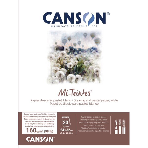 CANSON Papier beaux-arts Mi-Teintes, en bloc, 240 x 320 mm