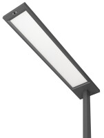 Hansa LED-Stehleuchte "Opal", Höhe: 1.980 mm, anthrazit