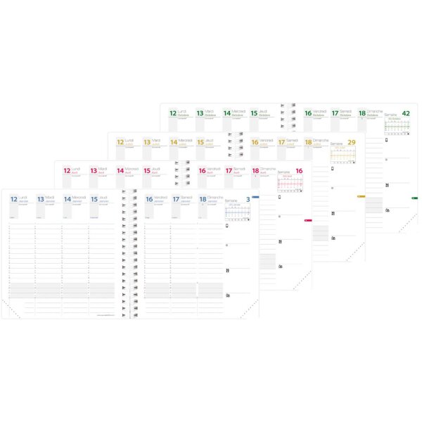 QUO VADIS Terminkalender Time &amp; Life, 2027, weiss