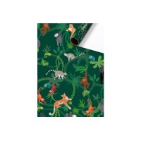 STEWO Geschenkpapier Lauro 2528575845 70x200cm grün FSC
