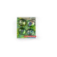 TRENDFORM EYE Aimants PEACOCK EY2020 4 pcs.