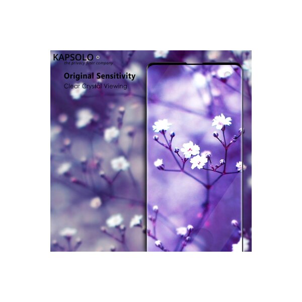 KAPSOLO Verre Trempé Protecteur Ecran KAP30269 Samsung Galaxy Note 20