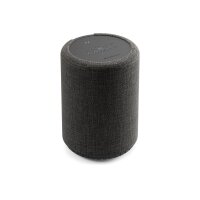 AUDIO PRO G10 14620 dark grey