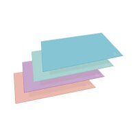 EXACOMPTA Sous-main Aquarel 60196D assorti