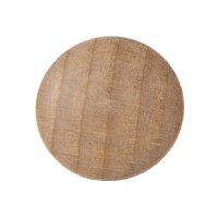 LEGAMASTER Aimant WOODEN 25mm 7-181725 Bois 5 pcs.